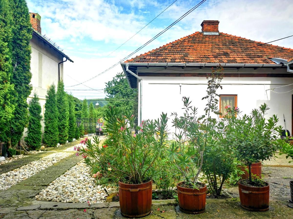 Casa Petrescu Villa Curtea de Argeş Dış mekan fotoğraf